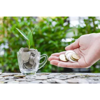 Money Plant